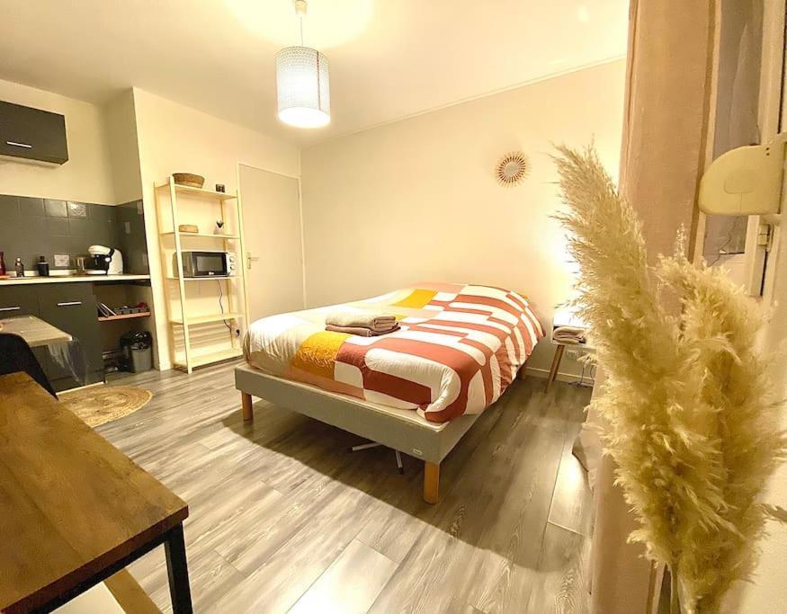Au Calme Confort & Proche Centre Apartman Le Mans Kültér fotó